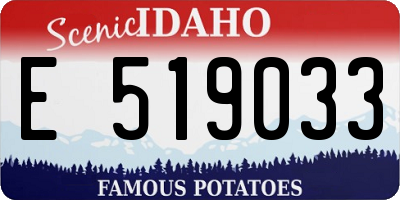 ID license plate E519033