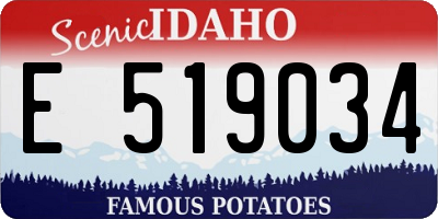 ID license plate E519034