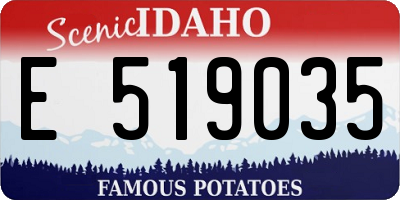 ID license plate E519035