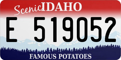 ID license plate E519052