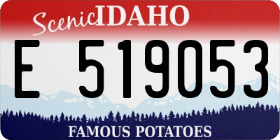 ID license plate E519053
