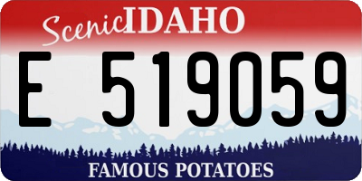 ID license plate E519059