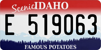 ID license plate E519063