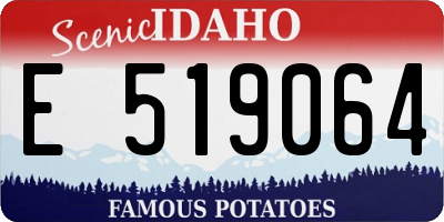 ID license plate E519064
