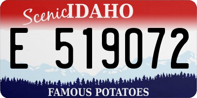 ID license plate E519072