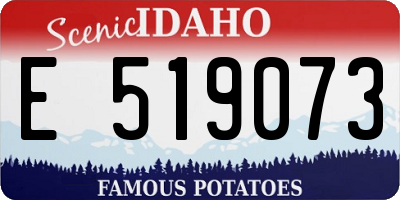 ID license plate E519073
