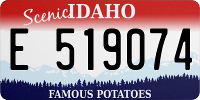 ID license plate E519074