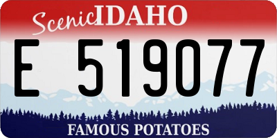 ID license plate E519077