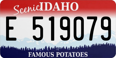 ID license plate E519079