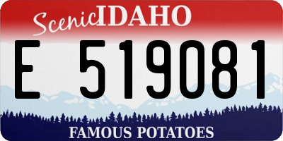 ID license plate E519081