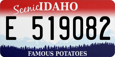 ID license plate E519082