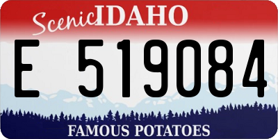 ID license plate E519084
