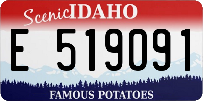 ID license plate E519091