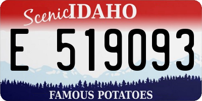 ID license plate E519093