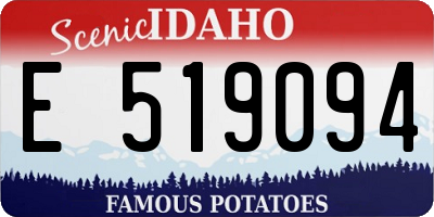 ID license plate E519094