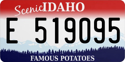 ID license plate E519095
