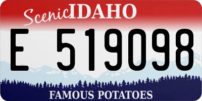 ID license plate E519098
