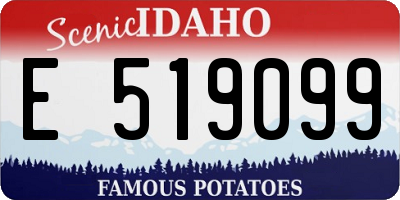 ID license plate E519099