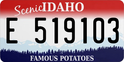 ID license plate E519103