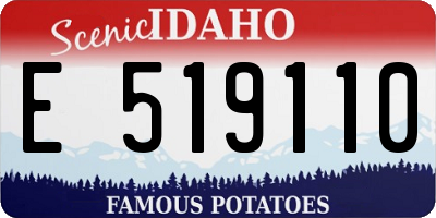 ID license plate E519110