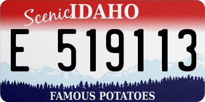 ID license plate E519113
