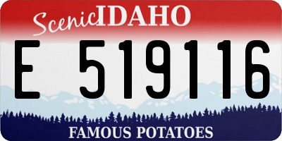 ID license plate E519116