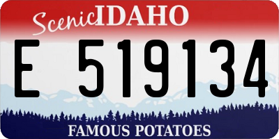 ID license plate E519134