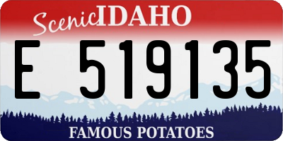 ID license plate E519135