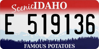 ID license plate E519136