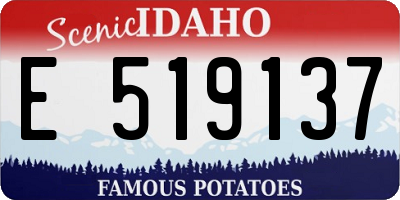 ID license plate E519137