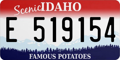ID license plate E519154