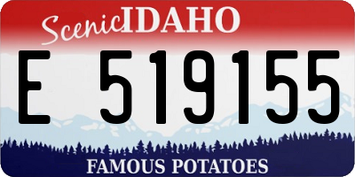 ID license plate E519155
