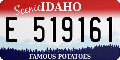 ID license plate E519161