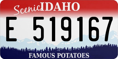 ID license plate E519167