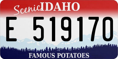 ID license plate E519170