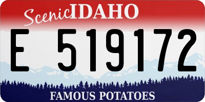 ID license plate E519172