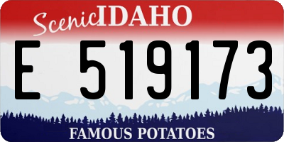 ID license plate E519173