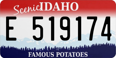 ID license plate E519174