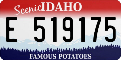 ID license plate E519175