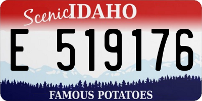 ID license plate E519176