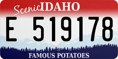 ID license plate E519178