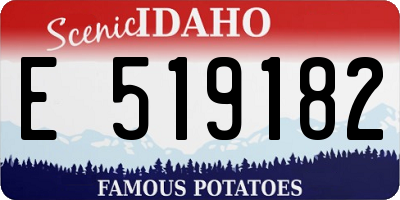 ID license plate E519182