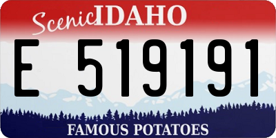 ID license plate E519191