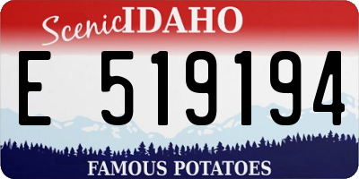 ID license plate E519194