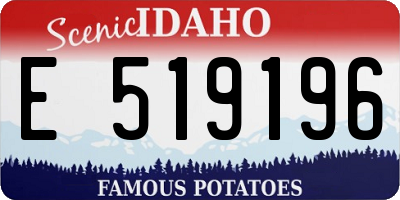 ID license plate E519196