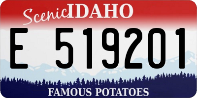 ID license plate E519201