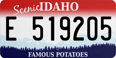 ID license plate E519205