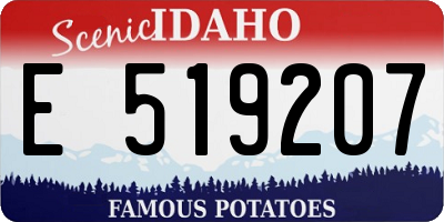 ID license plate E519207