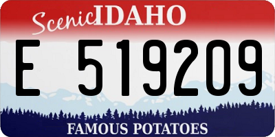 ID license plate E519209