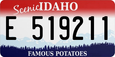 ID license plate E519211